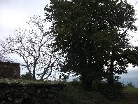 fugio monte Stornello-20101031 032